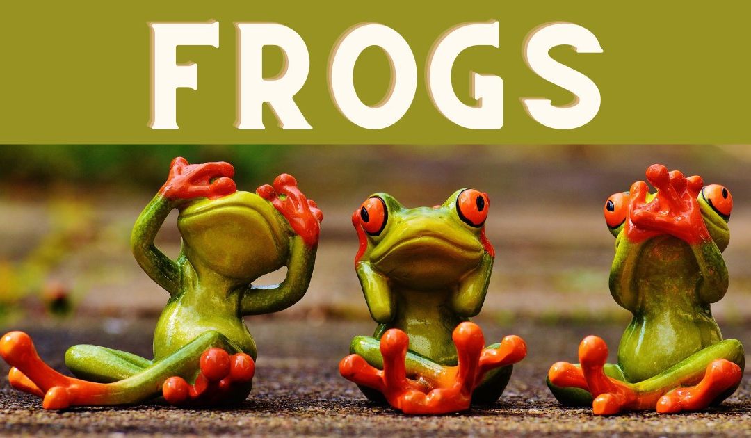 Comment trouver des visiteurs avec la méthode FROGS