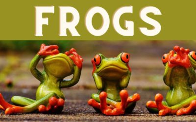 Comment trouver des visiteurs avec la méthode FROGS