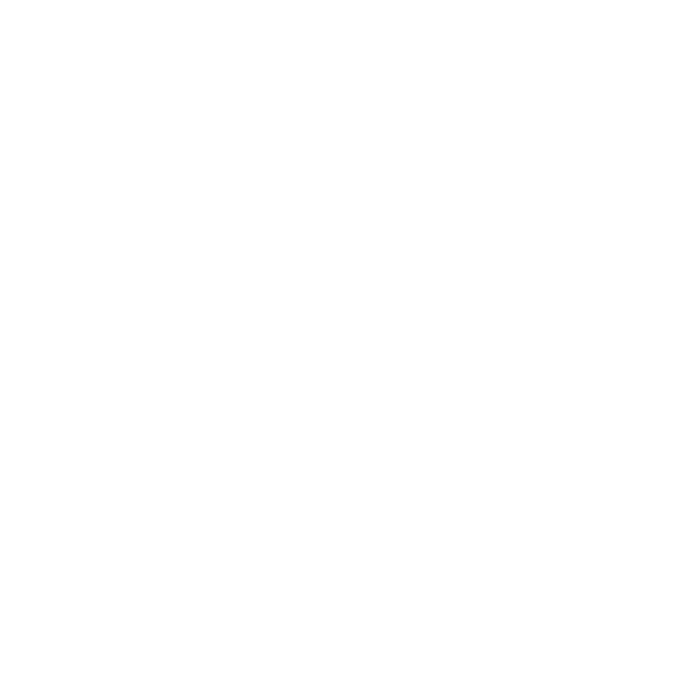 BNI Alsace_Fond blanc-01